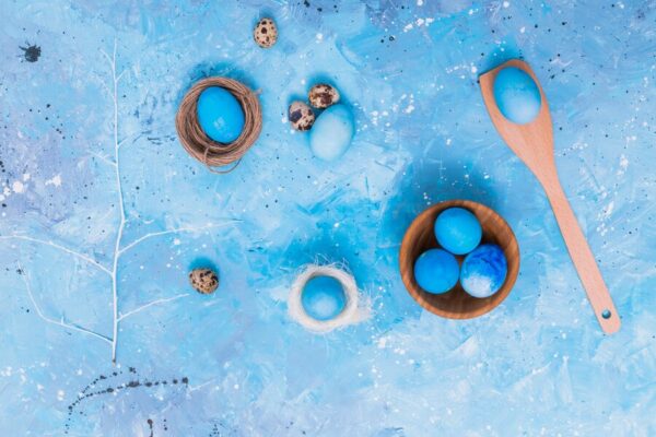 blue copper maran eggs