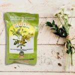 Planta de Ruda