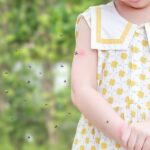 baby hornet or the gray mosquito impression pad