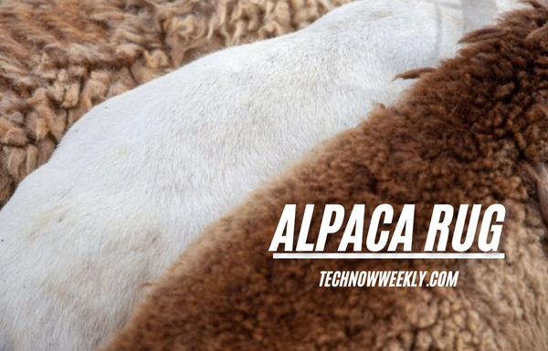 alpaca rug