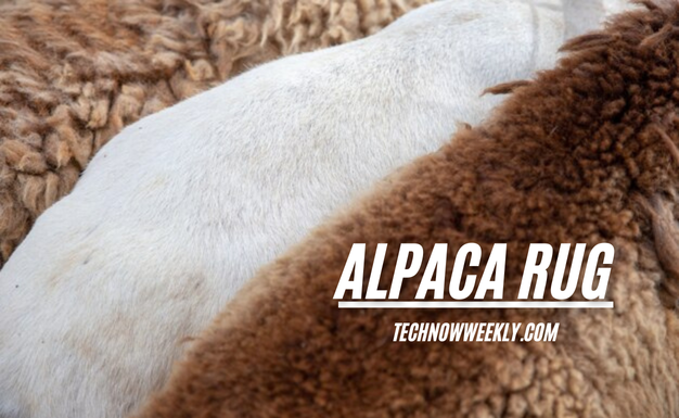 alpaca rug