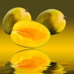 alphonso mango