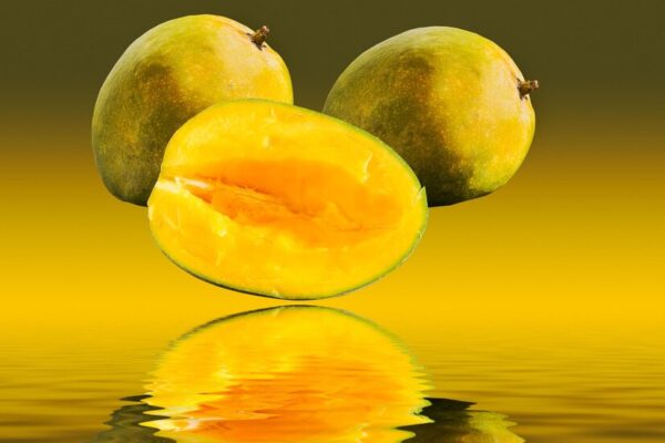 alphonso mango