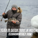 which flies to catch trout in november uk